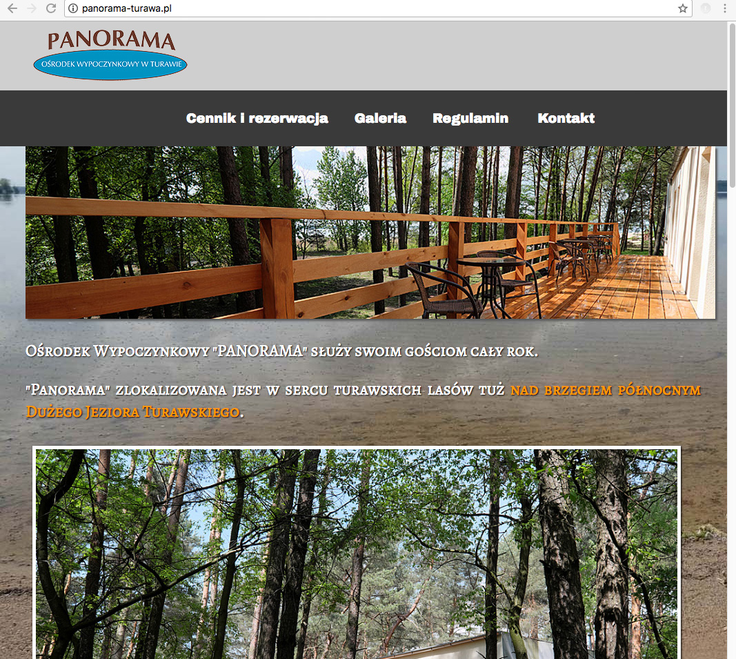 strona internetowa